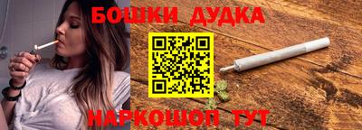 гидра Можга