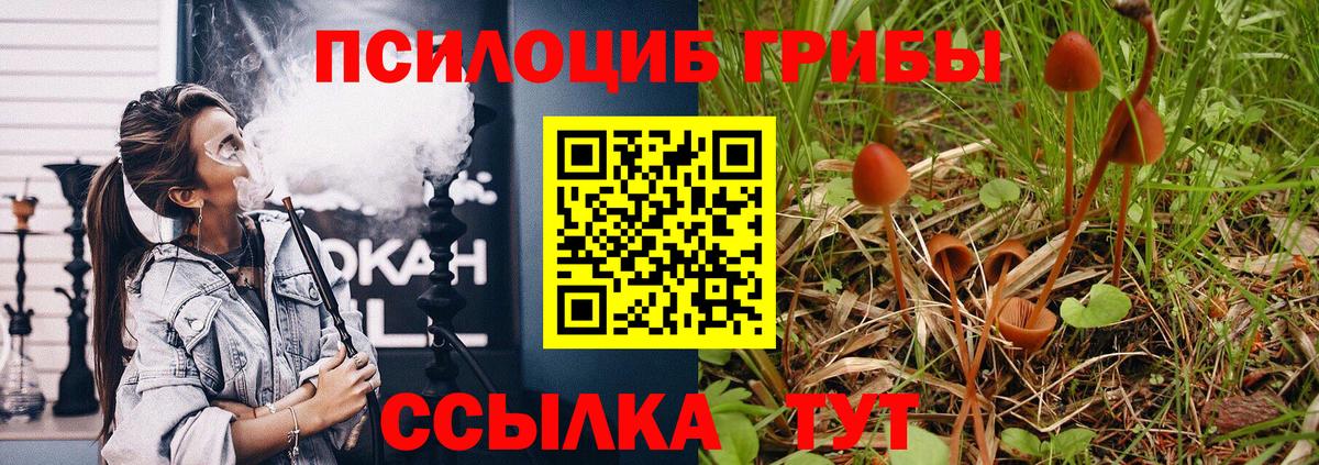 где найти наркотики  Псилоцибиновые грибы Magic Shrooms  Вход с VPN  Воскресенск 